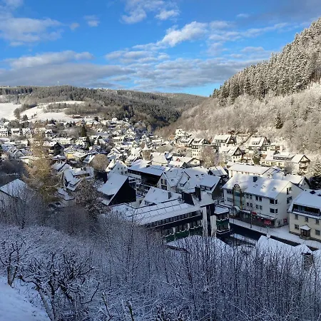 Muehlenberg * Willingen (Upland)
