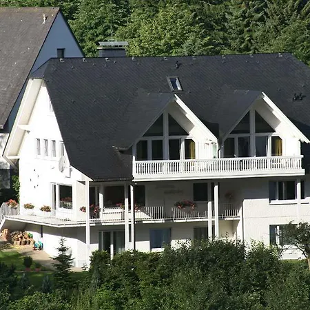Mühlenberg * Willingen (Upland)